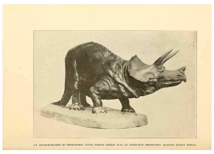 Reproducción/Reproduction 7409101838: The human side of animals,. New York,Frederick A. Stokes Company[c1918]