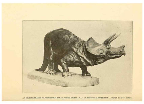 Reproducción/Reproduction 7409101838: The human side of animals,. New York,Frederick A. Stokes Company[c1918]