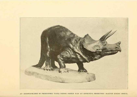 Reproducción/Reproduction 7409101838: The human side of animals,. New York,Frederick A. Stokes Company[c1918]