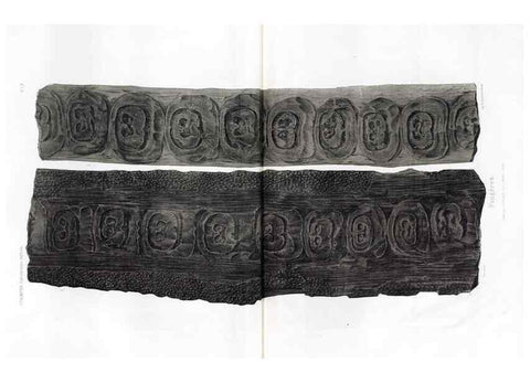 Reproducción/Reproduction 7361870302: Traité de paléontologie végétale, ou, La flore du monde primitif dans ses rapports avec les formations géologiques et la flore du monde actuel /. Paris :J.B. Baillière et fils,1869-1874.