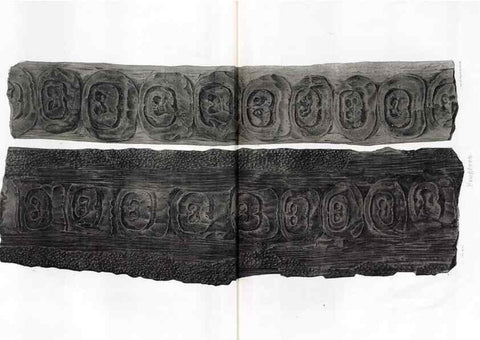 Reproducción/Reproduction 7361870302: Traité de paléontologie végétale, ou, La flore du monde primitif dans ses rapports avec les formations géologiques et la flore du monde actuel /. Paris :J.B. Baillière et fils,1869-1874.