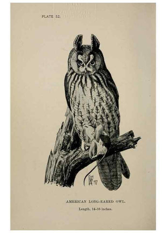 Reproducción/Reproduction 7180192953: Birdcraft :. New York :Macmillan Co.,c1897.