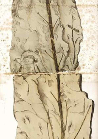 Reproducción/Reproduction 7362132756: Monographie des plantes fossiles du grès bigarré de la chaine des Vosges /. Leipzig :G. Engelmann,1844.