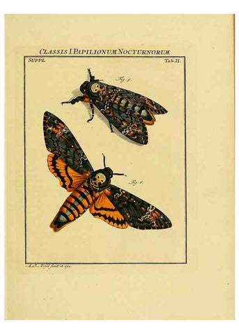 Reproducción/Reproduction 7158143188: De natuurlyke historie der insecten;. Te Haarlem,By C. H. Bohn en H. de Wit, boekverkoopers[1764-68]