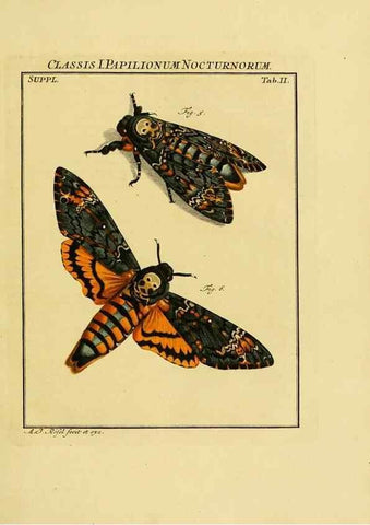 Reproducción/Reproduction 7158143188: De natuurlyke historie der insecten;. Te Haarlem,By C. H. Bohn en H. de Wit, boekverkoopers[1764-68]