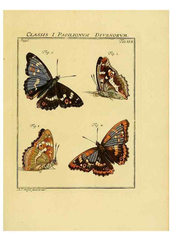 Reproducción/Reproduction 7158195434: De natuurlyke historie der insecten;. Te Haarlem,By C. H. Bohn en H. de Wit, boekverkoopers[1764-68]