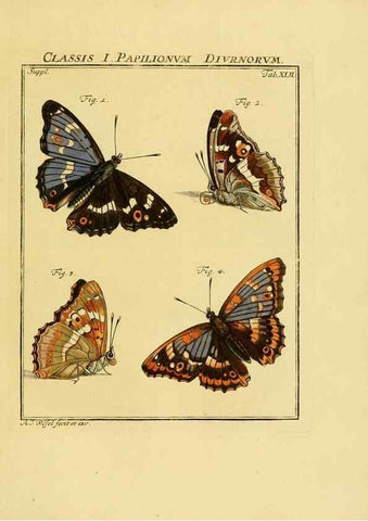 Reproducción/Reproduction 7158195434: De natuurlyke historie der insecten;. Te Haarlem,By C. H. Bohn en H. de Wit, boekverkoopers[1764-68]