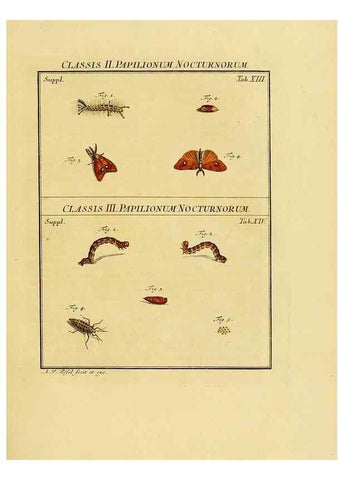 Reproducción/Reproduction 7158157748: De natuurlyke historie der insecten;. Te Haarlem,By C. H. Bohn en H. de Wit, boekverkoopers[1764-68]
