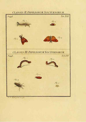 Reproducción/Reproduction 7158157748: De natuurlyke historie der insecten;. Te Haarlem,By C. H. Bohn en H. de Wit, boekverkoopers[1764-68]