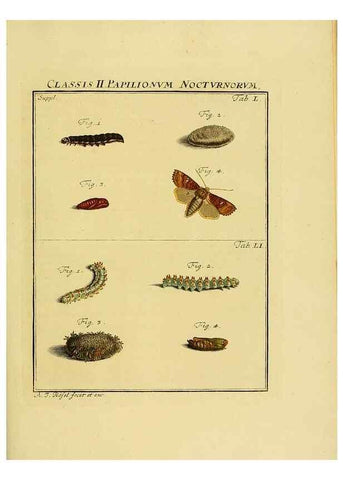 Reproducción/Reproduction 7158205566: De natuurlyke historie der insecten;. Te Haarlem,By C. H. Bohn en H. de Wit, boekverkoopers[1764-68]