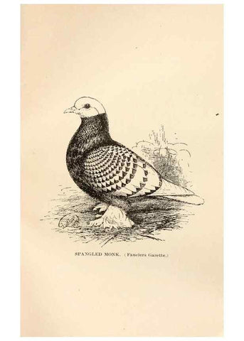 Reproducción/Reproduction 6986083432: Pigeons and all about them.. Boston,C.E. Twombly[c1898]