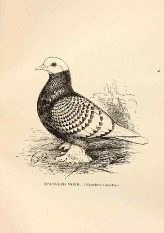 Reproducción/Reproduction 6986083432: Pigeons and all about them.. Boston,C.E. Twombly[c1898]