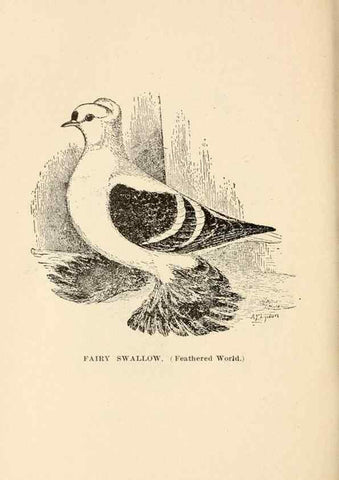 Reproducción/Reproduction 6986074804: Pigeons and all about them.. Boston,C.E. Twombly[c1898]