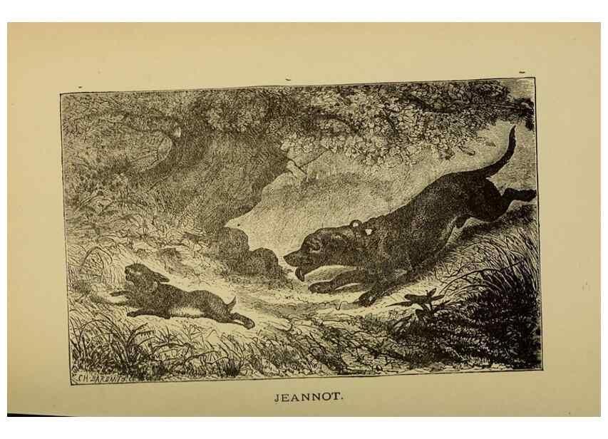 Reproducción/Reproduction 6993031950: The history of my friends; . Chicago,A. Flanagan[c1897]