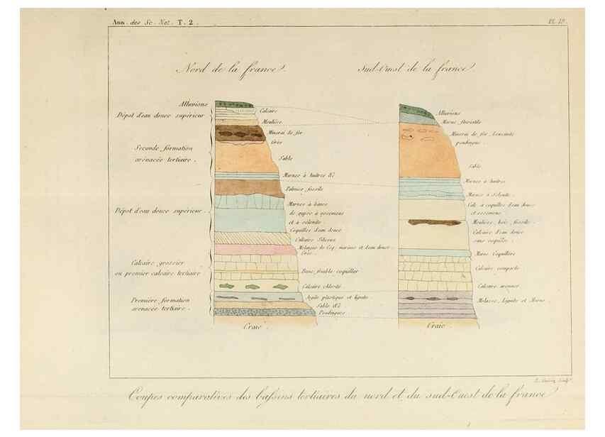 Reproducción/Reproduction 7165165366: Annales des sciences naturelles :. Paris :Crochard