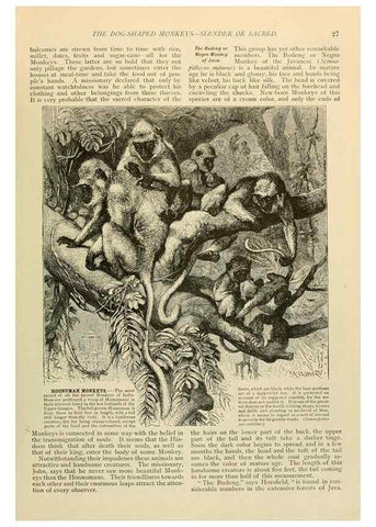 Reproducción/Reproduction 6902381630: Brehm's Life of animals :. Chicago :Marquis,1895.