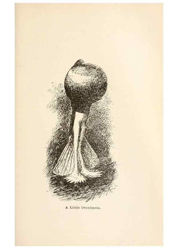 Reproducción/Reproduction 7132083621: Pigeons and all about them.. Boston,C.E. Twombly[c1898]
