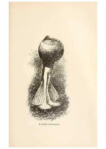 Reproducción/Reproduction 7132083621: Pigeons and all about them.. Boston,C.E. Twombly[c1898]