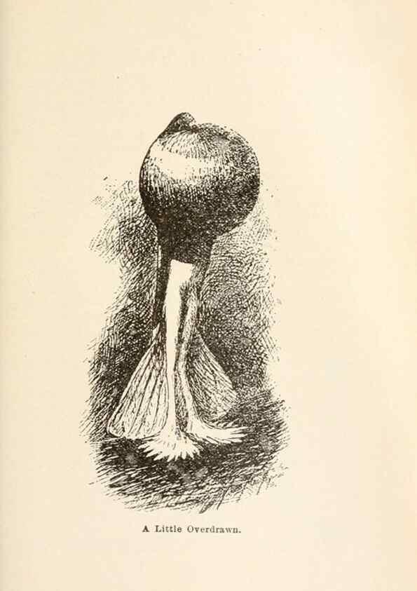 Reproducción/Reproduction 7132083621: Pigeons and all about them.. Boston,C.E. Twombly[c1898]