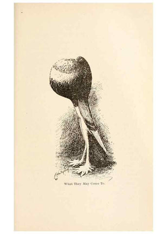 Reproducción/Reproduction 7132086769: Pigeons and all about them.. Boston,C.E. Twombly[c1898]