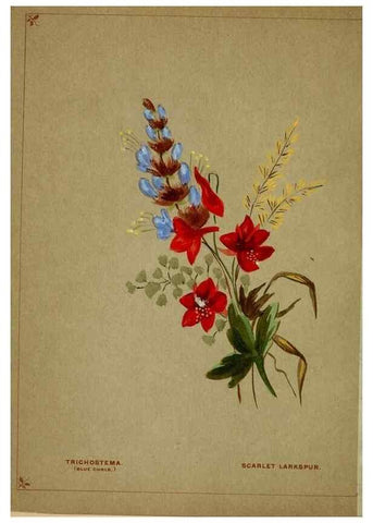 Reproducción/Reproduction 6928295552: Flowers from Arcadia . San Francisco,J. T. White,1884.