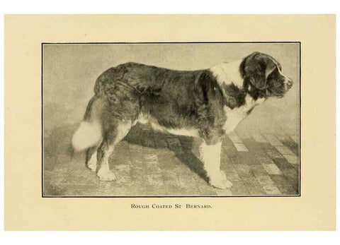 Reproducción/Reproduction 6959844592: The dog in health, accident, and disease,. Philadelphia,H. Altemus company[c1908]