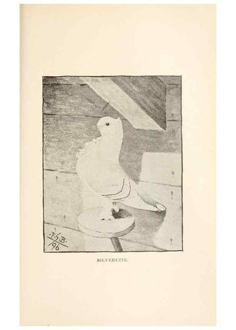 Reproducción/Reproduction 7132122387: Pigeons and all about them.. Boston,C.E. Twombly[c1898]
