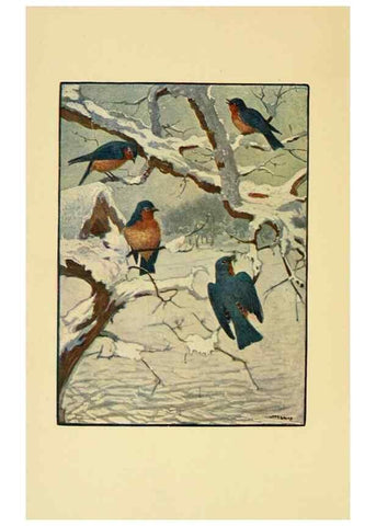 Reproducción/Reproduction 6921353950: Tenants of the trees /. Boston :L.C. Page & Co.,1907.