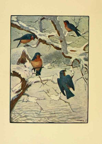 Reproducción/Reproduction 6921353950: Tenants of the trees /. Boston :L.C. Page & Co.,1907.