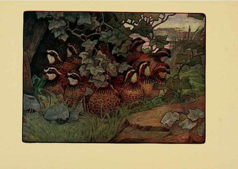Reproducción/Reproduction 6921354776: Tenants of the trees /. Boston :L.C. Page & Co.,1907.