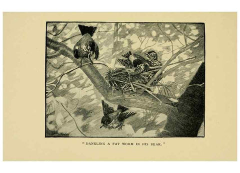 Reproducción/Reproduction 7067435321: Tenants of the trees /. Boston :L.C. Page & Co.,1907.