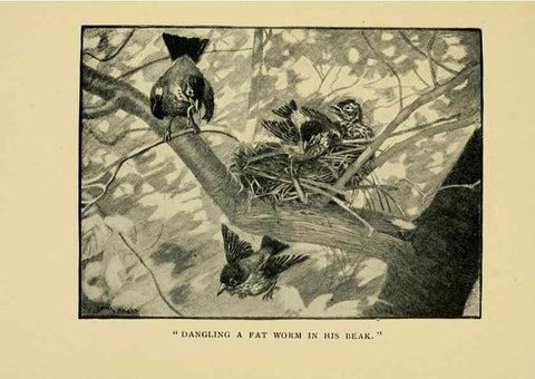 Reproducción/Reproduction 7067435321: Tenants of the trees /. Boston :L.C. Page & Co.,1907.