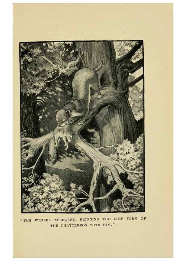 Reproducción/Reproduction 6921356790: Tenants of the trees /. Boston :L.C. Page & Co.,1907.
