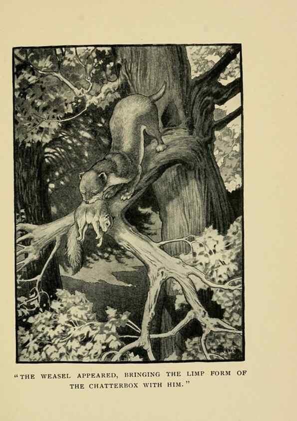 Reproducción/Reproduction 6921356790: Tenants of the trees /. Boston :L.C. Page & Co.,1907.