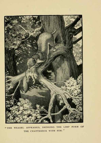 Reproducción/Reproduction 6921356790: Tenants of the trees /. Boston :L.C. Page & Co.,1907.