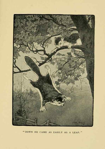 Reproducción/Reproduction 7067437877: Tenants of the trees /. Boston :L.C. Page & Co.,1907.