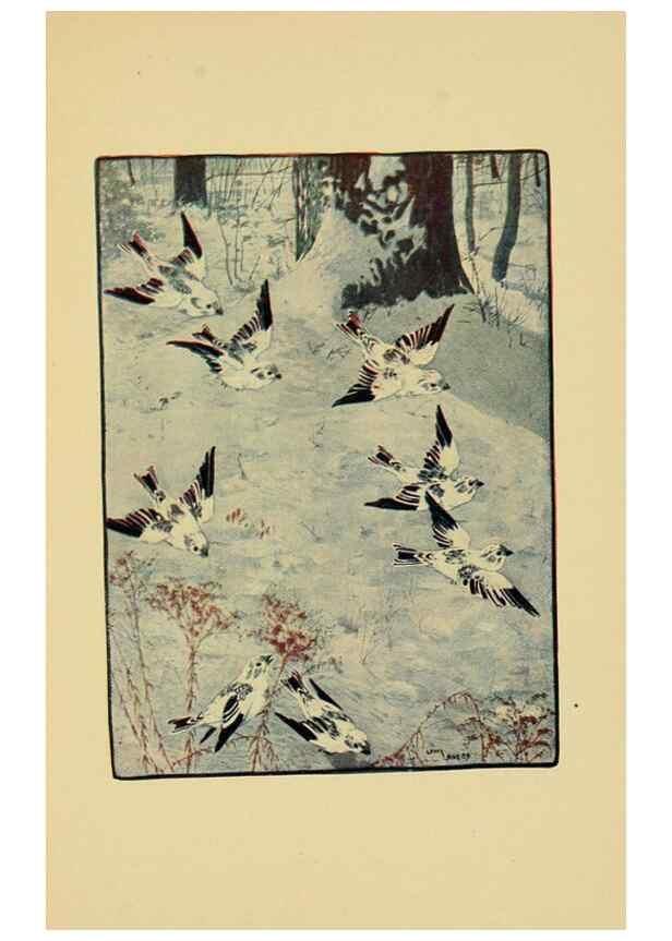 Reproducción/Reproduction 6921358414: Tenants of the trees /. Boston :L.C. Page & Co.,1907.