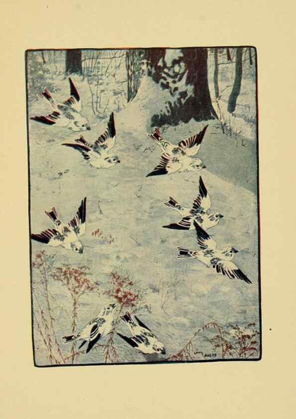 Reproducción/Reproduction 6921358414: Tenants of the trees /. Boston :L.C. Page & Co.,1907.