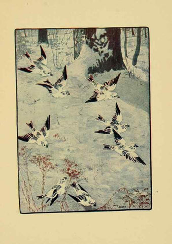 Reproducción/Reproduction 6921358414: Tenants of the trees /. Boston :L.C. Page & Co.,1907.