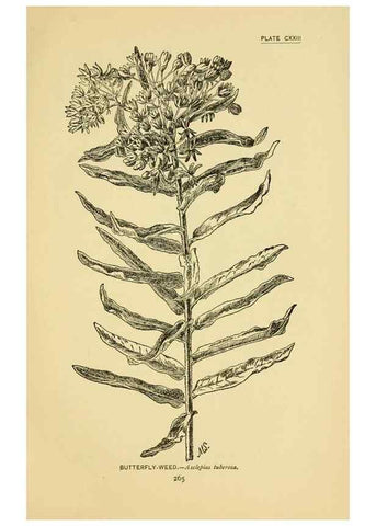 Reproducción/Reproduction 7248369900: How to know the wild flowers :. New York :Scribner's,1893.