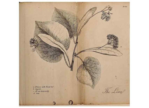 Reproducción/Reproduction 7255572222: The woodland companion;. London,Baldwin, Cradock and Joy [etc.]1815.