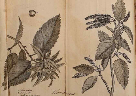 Reproducción/Reproduction 7255574410: The woodland companion;. London,Baldwin, Cradock and Joy [etc.]1815.