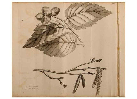 Reproducción/Reproduction 7255575702: The woodland companion;. London,Baldwin, Cradock and Joy [etc.]1815.