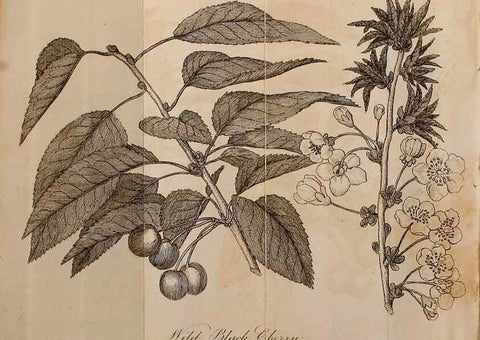 Reproducción/Reproduction 7255578008: The woodland companion;. London,Baldwin, Cradock and Joy [etc.]1815.