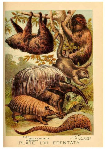 Reproducción/Reproduction 7268704776: Johnson's household book of nature,. New York,H.J.Johnson,[1880]