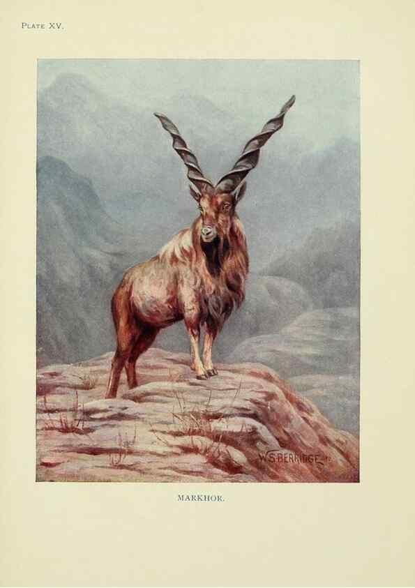 Reproducción/Reproduction 7335347898: The book of the animal kingdom.. London,J. M. Dent & sons, ltd.;1910.