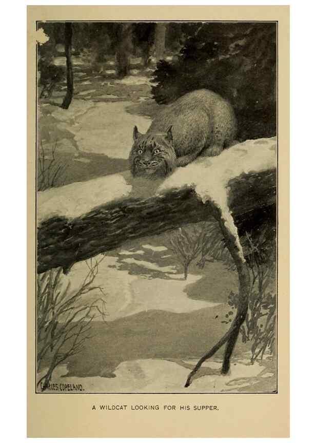Reproducción/Reproduction 7261627348: Stories of the good green wood,. New York,T.Y. Crowell & co.,1904.