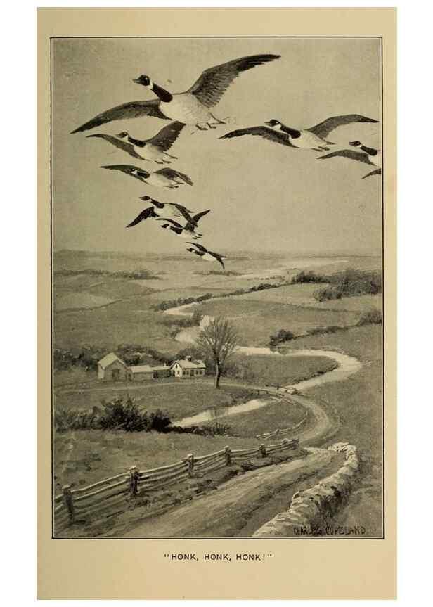 Reproducción/Reproduction 7261628268: Stories of the good green wood,. New York,T.Y. Crowell & co.,1904.