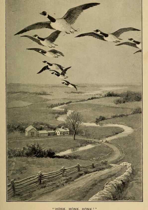 Reproducción/Reproduction 7261628268: Stories of the good green wood,. New York,T.Y. Crowell & co.,1904.