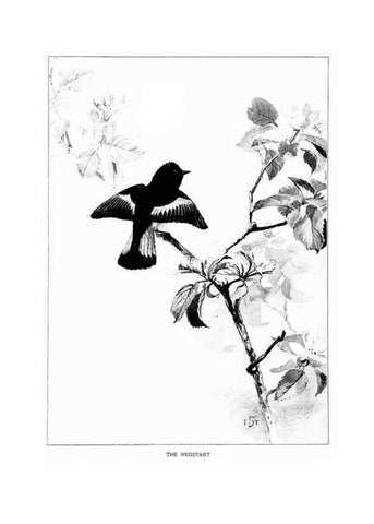 Reproducción/Reproduction 7262473872: Bird portraits,. Boston,Ginn & Company,1901.